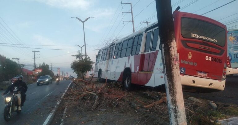 Motorista perde controle e ônibus bate em árvore em Manaus; causas do acidente ainda são desconhecidas