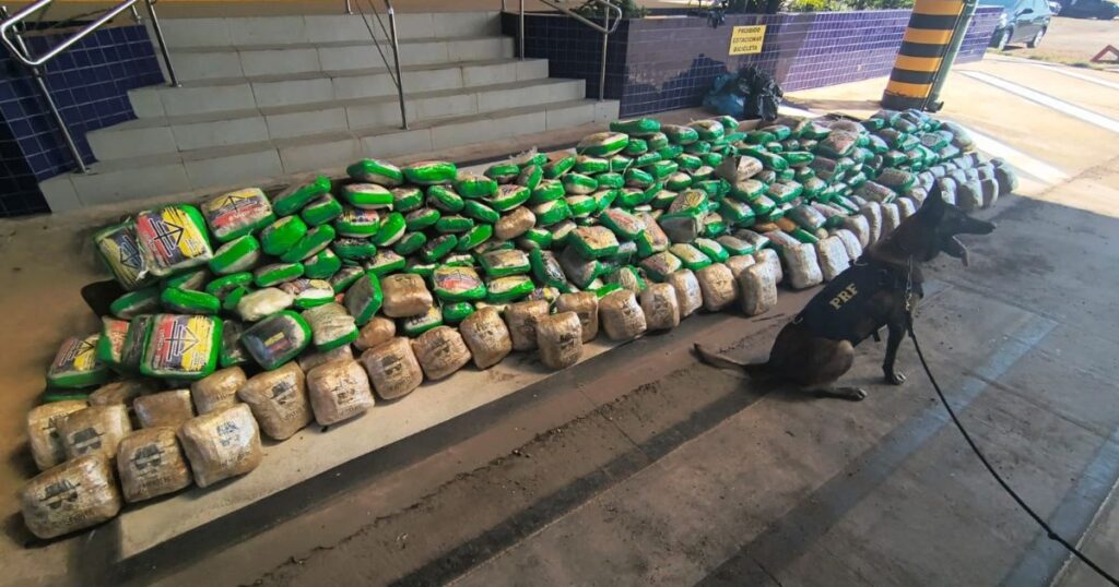 Cães farejadores localizam quase 300 kg de drogas em caminhão