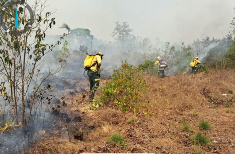 Governo Federal Mobiliza Ações e Reforça Contingente no Combate a Incêndios Florestais no Amazonas
